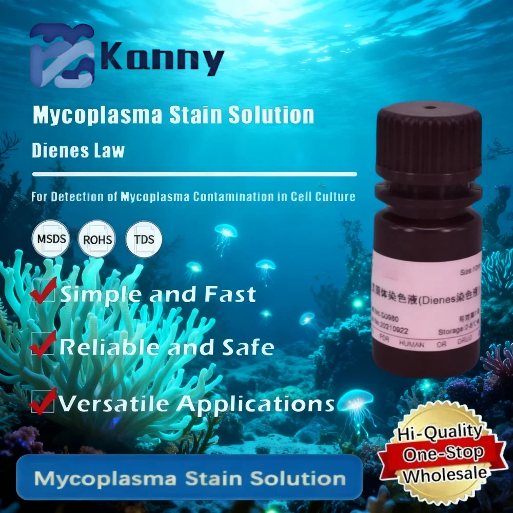 Mycoplasma Stain Solution for Dienes Method Mycoplasma Detection in Laboratory Applications Original Product
