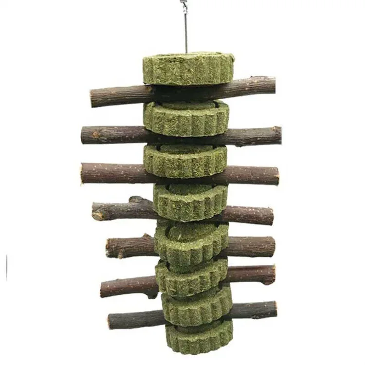 Guinea Pig Bite Gri…