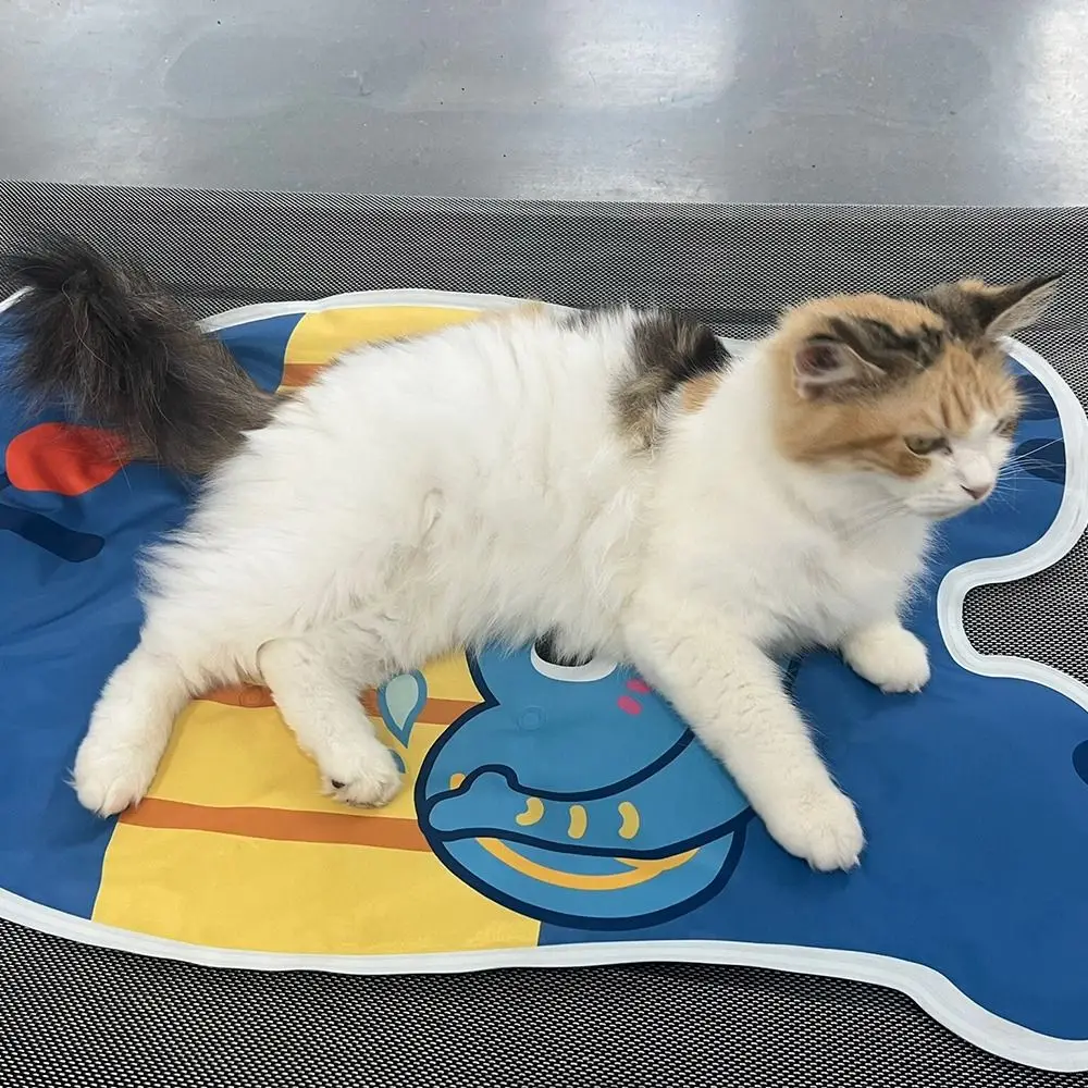 

Durable Cartoon Pet Ice Mat Cool Portable Pet Cooling Mat Floor Mats For Small Big Dogs