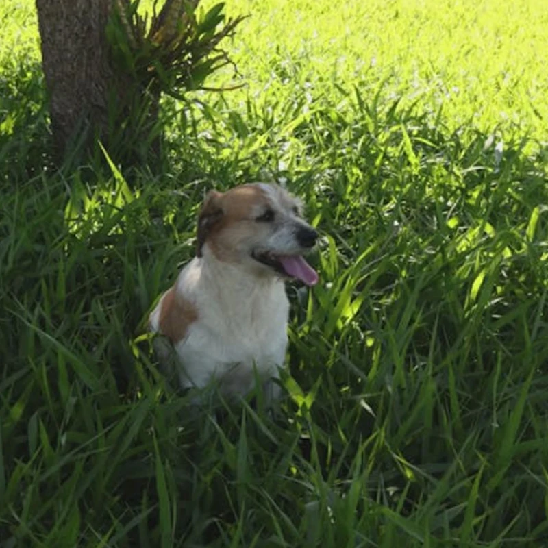 Iflight O4 Air Unit…