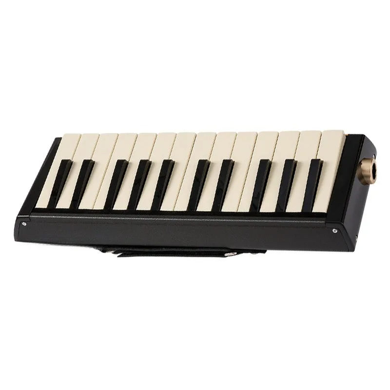 Professional adult ensemble plays bass harmonica with speaker connection