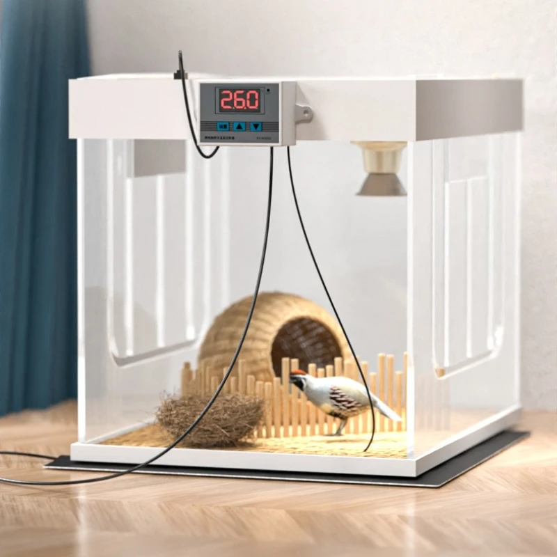 USB Temperature Control Timing Reptile Heat Mat Pet Thermostat Turtle Thermal Mat Parrot Plant Incubator Pad Reptile Accessories