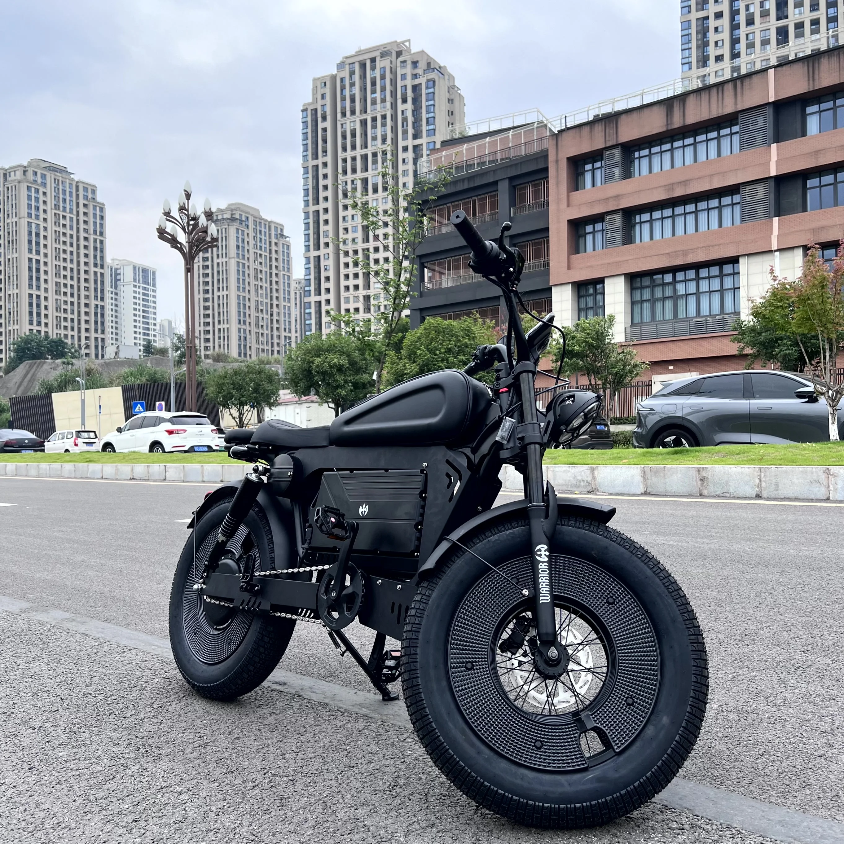 

STLF Модный хит продаж Дизайн EBIKE 30ah 60ah Готовый стандарт Sting Электрический горный городской велосипед Fatbike 20-дюймовая электрическая шина B