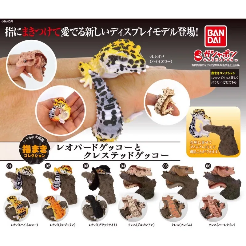 

BANDAI Original Gashapon Cute Figurine Fingertip Animal House Lizard Cabrite Ring Kawaii Anime Figure Gachapon Capsule Toys Gift