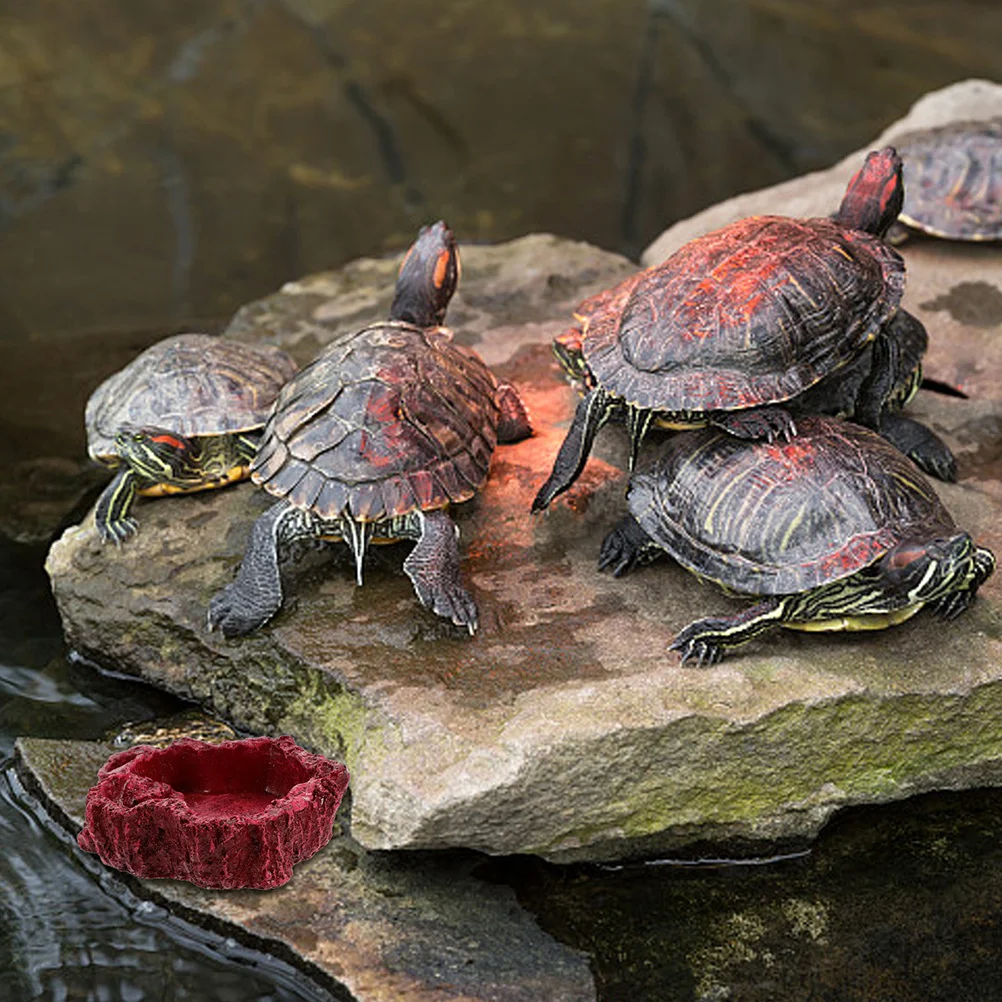 

4Pcs Reptile Feeding Bowl Resin Dish Non Slip Design Safe for Geckos Lizards Turtles Iguanas Easy Clean Prevent Escape