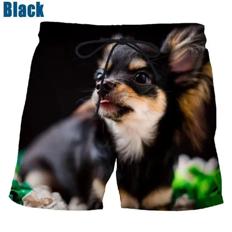 Full Print Animal Dog Pattern Beach Ice Shorts For Men Casual Chihuahua Board Shorts Summer Oversized Mens Swimming Surf Jams