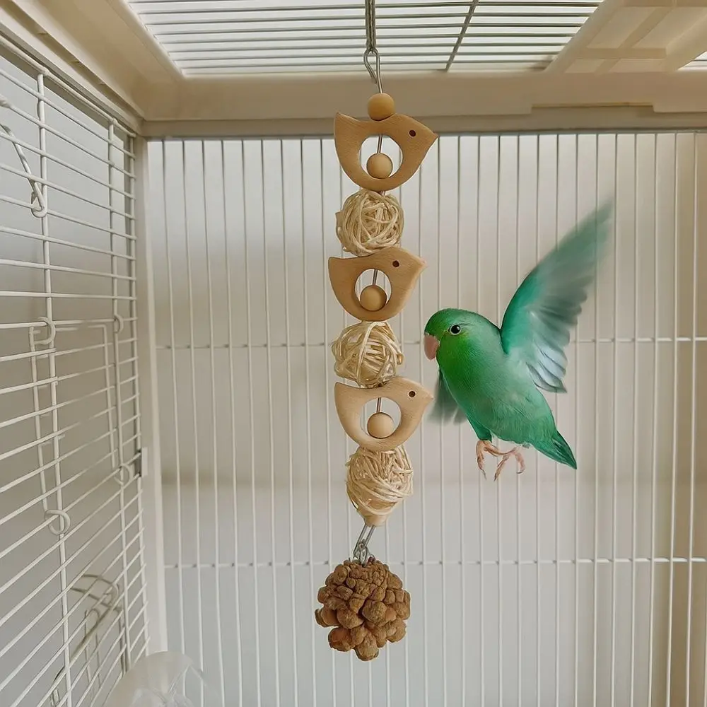 Échelle d'escalade amusante en bois pour perroquet, résistante aux morsures, interactive pour cage à perroquet