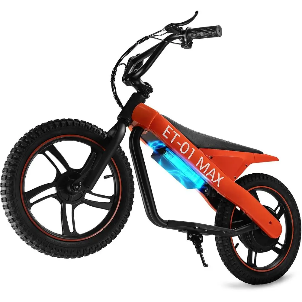 

Youth 16 Electric Bike: 350W/250W Motor, 36V 7.8/5.2Ah Battery, 15.5/13.7 MPH Speed, 15/12 Miles Range