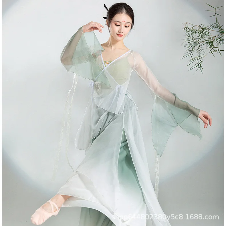 Classical dance costume set, flowing gauze costume, training costume, Chinese dance ethnic dance performance costume, art examin