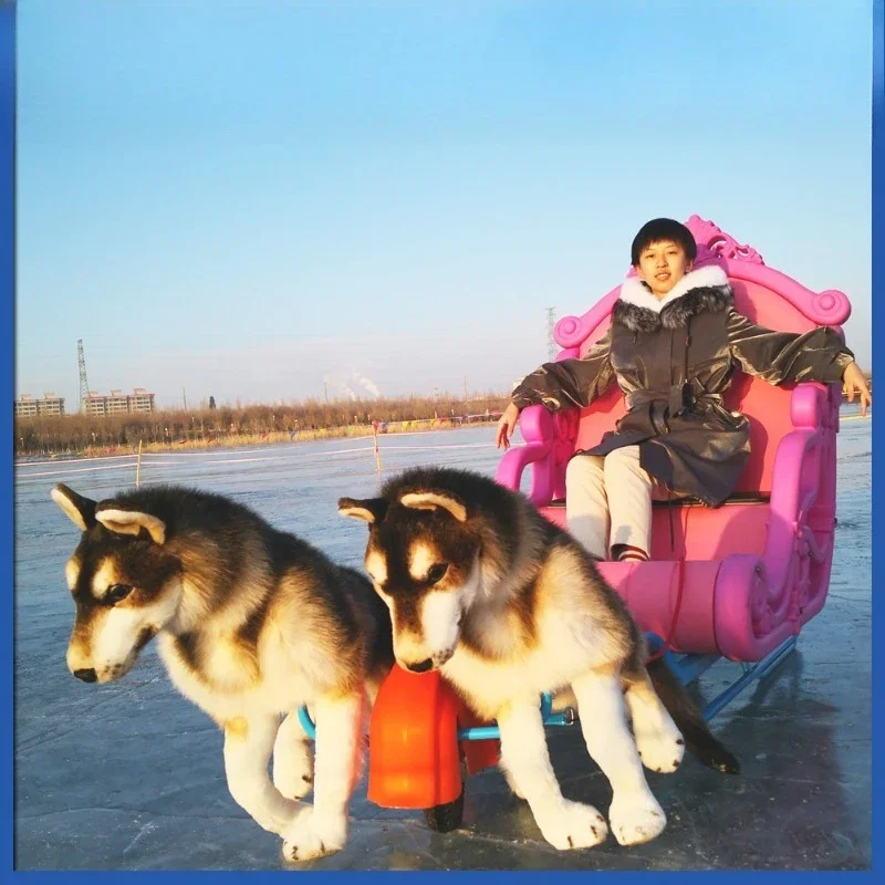 Electric, Ice and Snow Amusement, Standard, Princess Car, Dog Sled Car