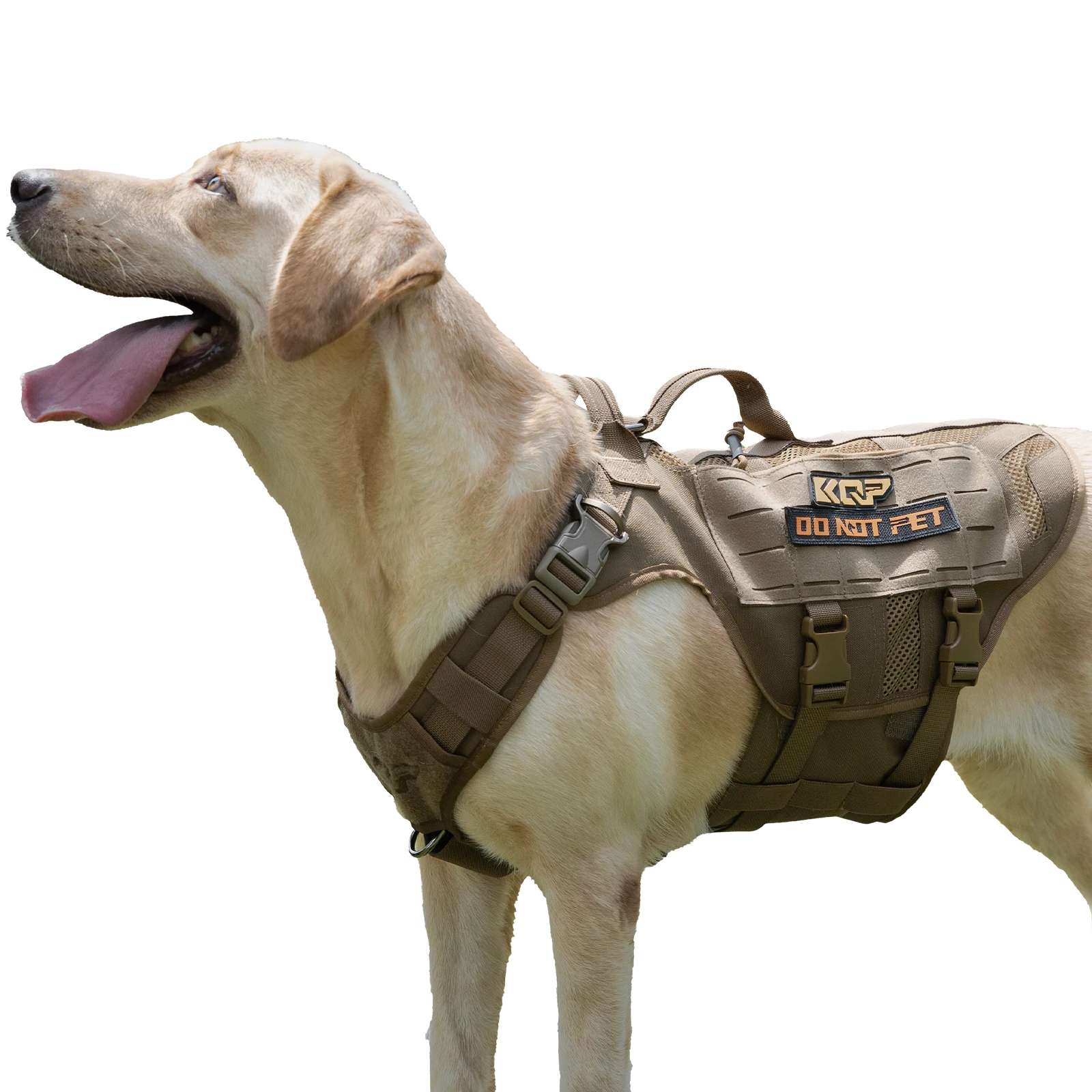KQP Verstellbares Taktisches H – No Pull Dog Harness Bewertung und Preis