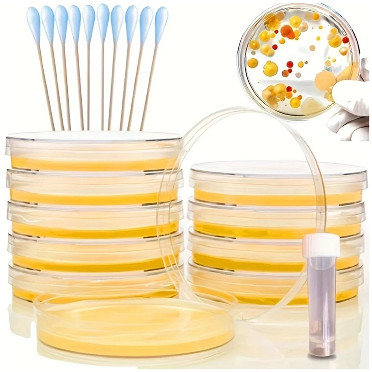 Petri Dish Science Project Kit, Sterile Petri Dish, Petri Dish Cell Observation, Laboratory Bacterial Colony Observation