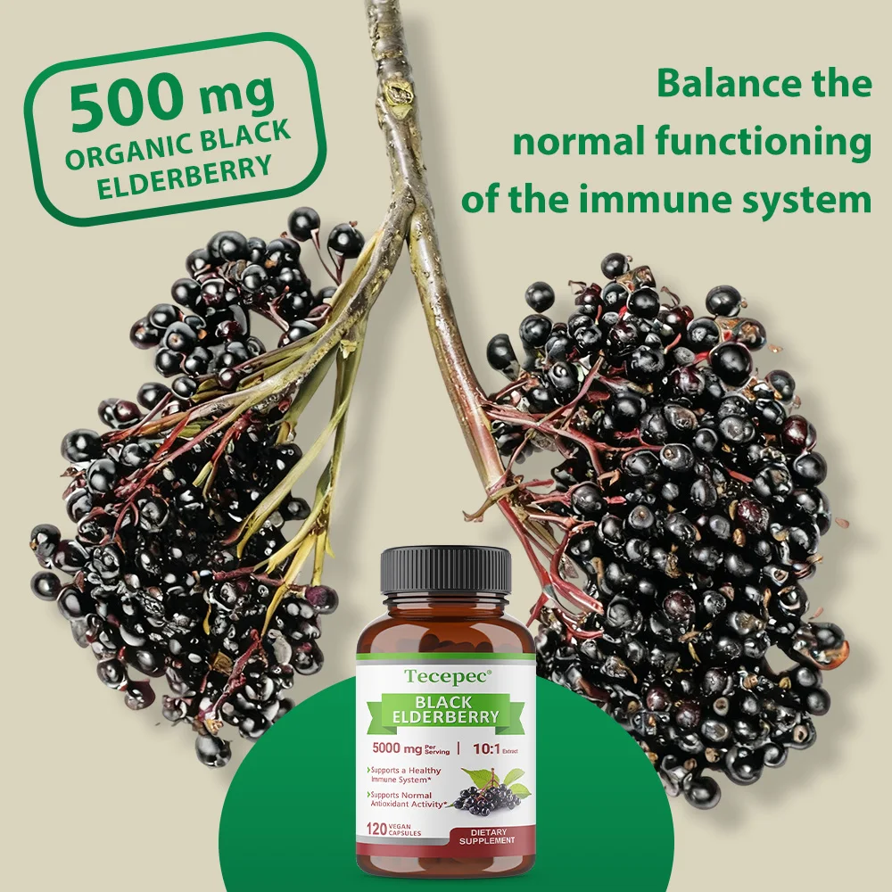 Elderberry Blackberry - Immune Support Supplement, Helps Cardiovascular Health, Regulates Blood Sugar, and Boosts Immunity