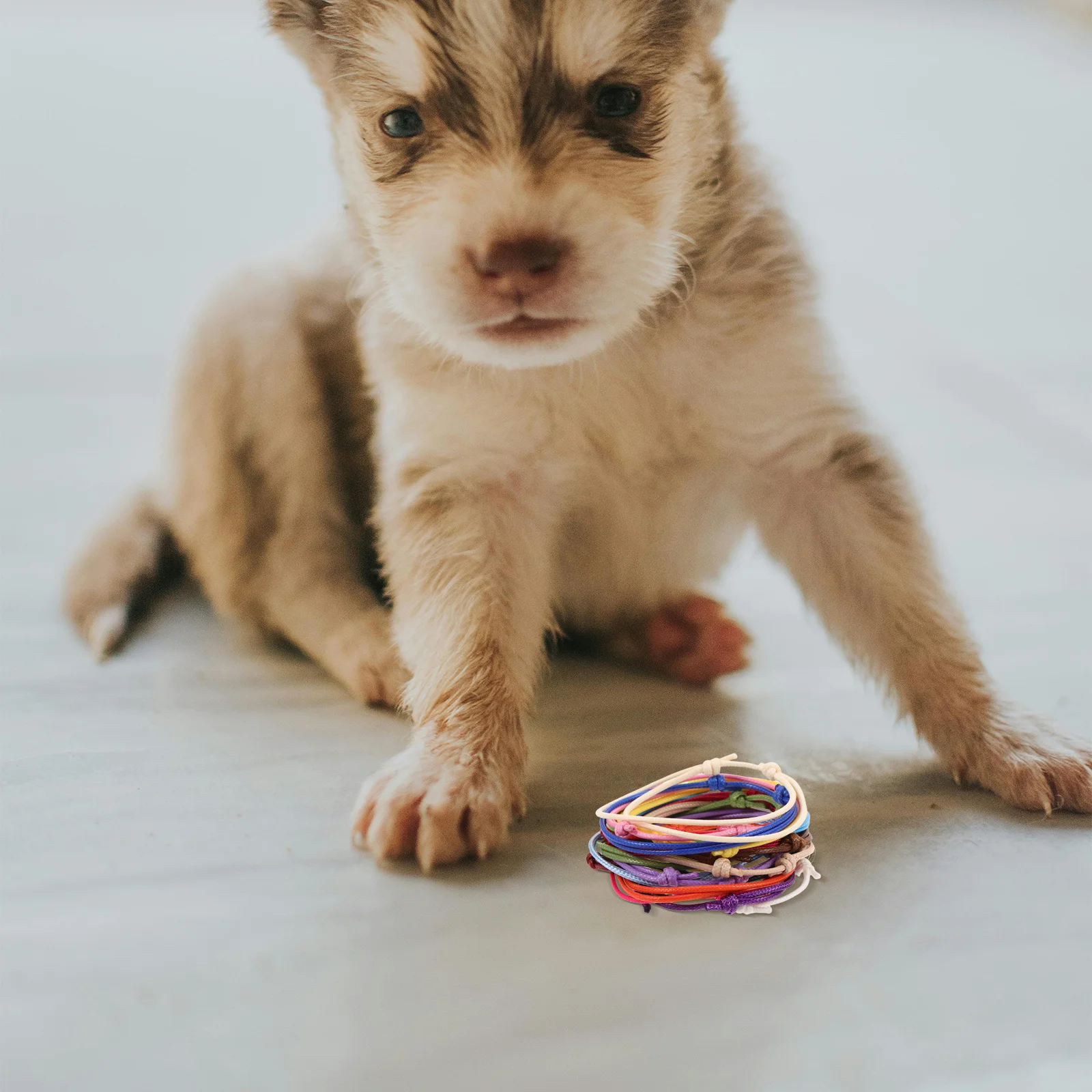 

20pcs Puppy Collars 20 Colors Soft Adjustable Identification Bands For Newborn Dogs Kittens Whelping Litter Management Safe