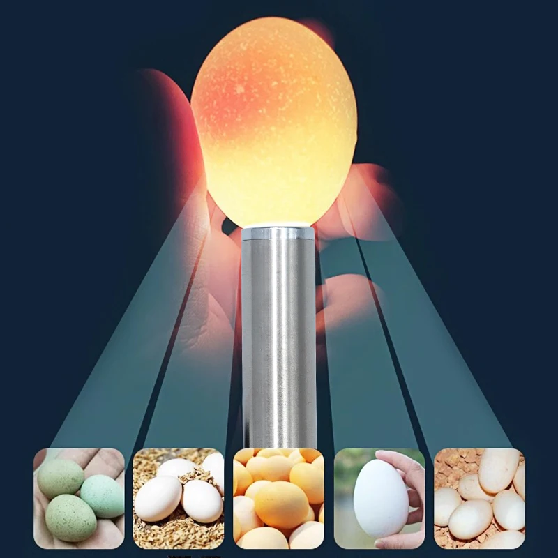 계란 채란기 테스트기, 밝고 차가운 LED 조명 촛불 램프 – 모든 종류의 닭, 메추라기, 오리, 카나리 계란에 적합