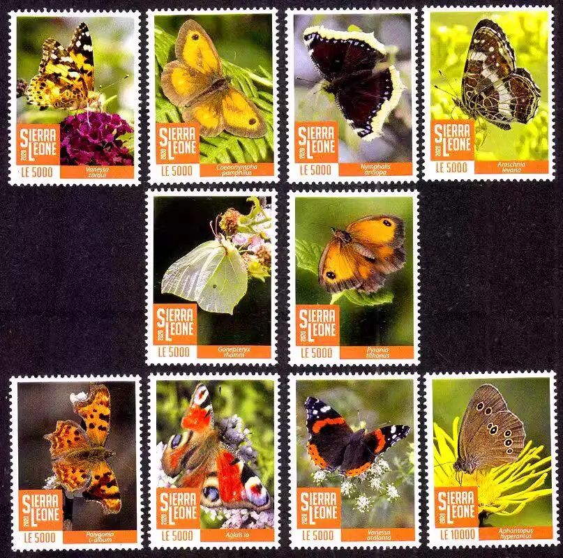Sierra Leone Poststempel, Porto Y2020, exquisiter, seltener Schmetterling, 1 Set, 10 neue Sammelbriefmarken, Material für Scrapbook – Detail 1