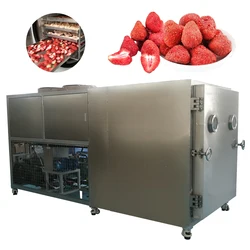 Vacuum Freeze Dryer Lyophilizer Machine For Industrial Freeze Dryer Machine For Food