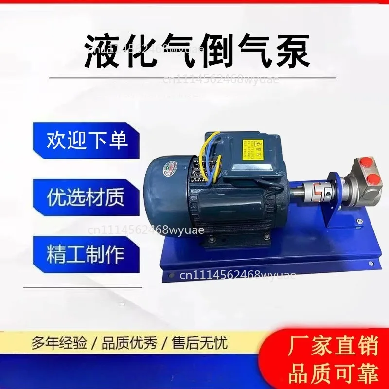 12v liquefied gas conductive pump 220V accessories 48v liquefied gas pump car on-board inverted high pressure pump