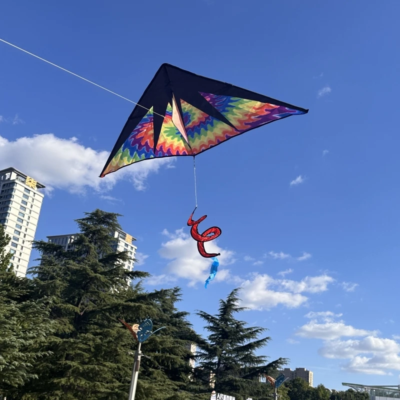 무료 배송 새로운 만화 삼각형 불꽃 연 papalote 윈드 서핑 연 그리기 장난감 parapente 연 풍선 장난감 낙하산 paragl