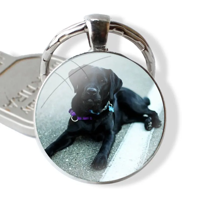 hello Black Lab Labrador puppy Dog 25mm Glass Cabohcon Keychain Key Rings for Women Men Jewelry Gift