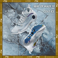 Li-Ning Men WAY OF WADE 10 LOW COLD ICE Professional Basketball Shoes Carbon Plate Cushion Support LiNing WOW 10 Sneaker ABAS083