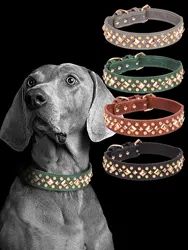 CP434 Rivet Leather Collar , Golden Rivet Decoration Pet dog Collar , Apply to Small Medium Large Dogs ,Retro style collar.