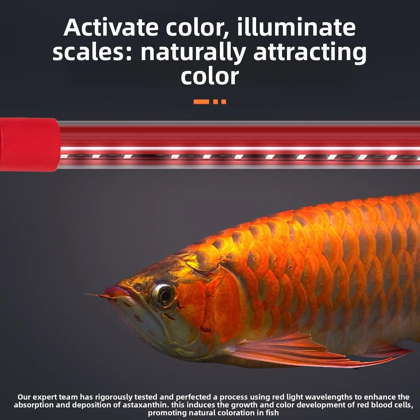 LED Aquarium Light Fixture Submersible Arowana Tanning Light Strip Color Changing Fish Tank Light 72-172CM Enhance Fishes Color