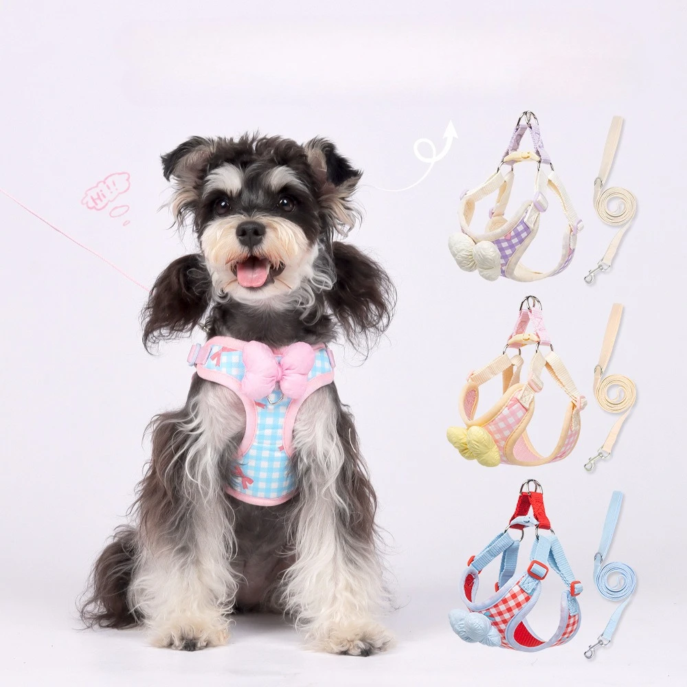 

Набор из шлейки и поводка для собак с выдвижным поводком, Dog Bibi Teddy, дышащий поводок для прогулок с собаками