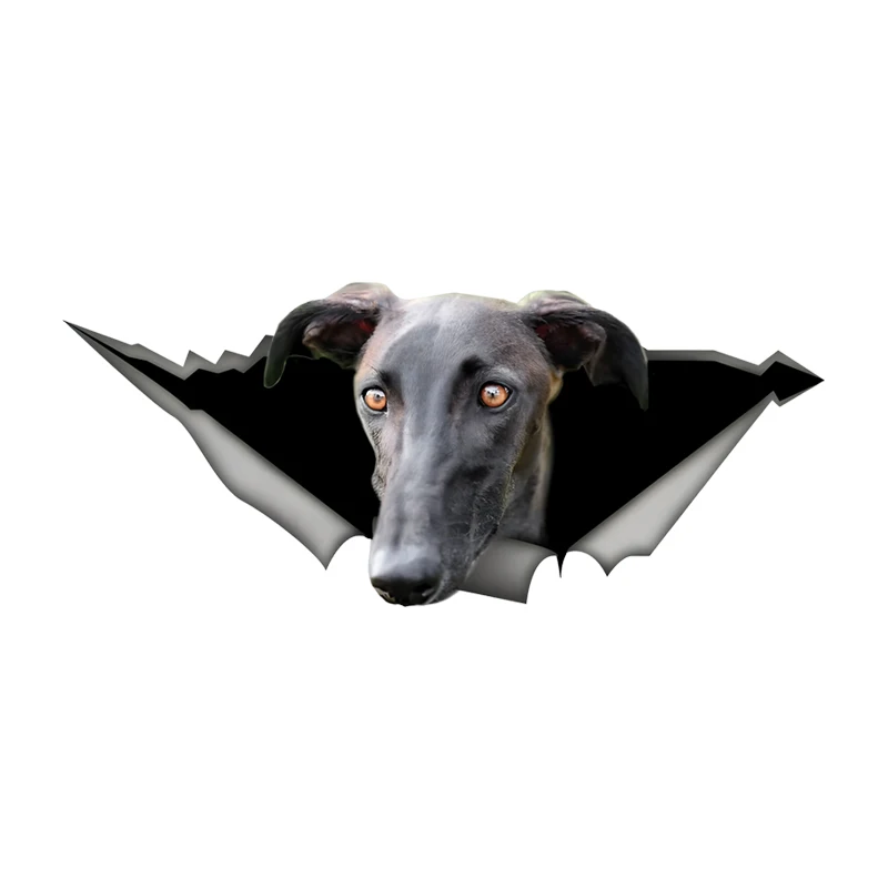 

DK512# 3D Black Galgo Dog Car Sticker, Fun Waterproof Sticker for Cars, Trucks, Motorcycles, Walls, Windows, PVC Material