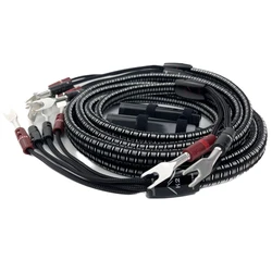 Audiophile HiFi Audio K2 Speaker Cable PSS Silver Bi-Wire Loudspeaker Wire BFA Banana & Spade Plug