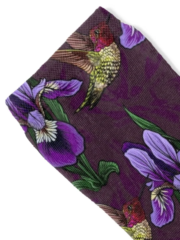 Рисунок 2 - Колибри и радуга фиолетовые носки