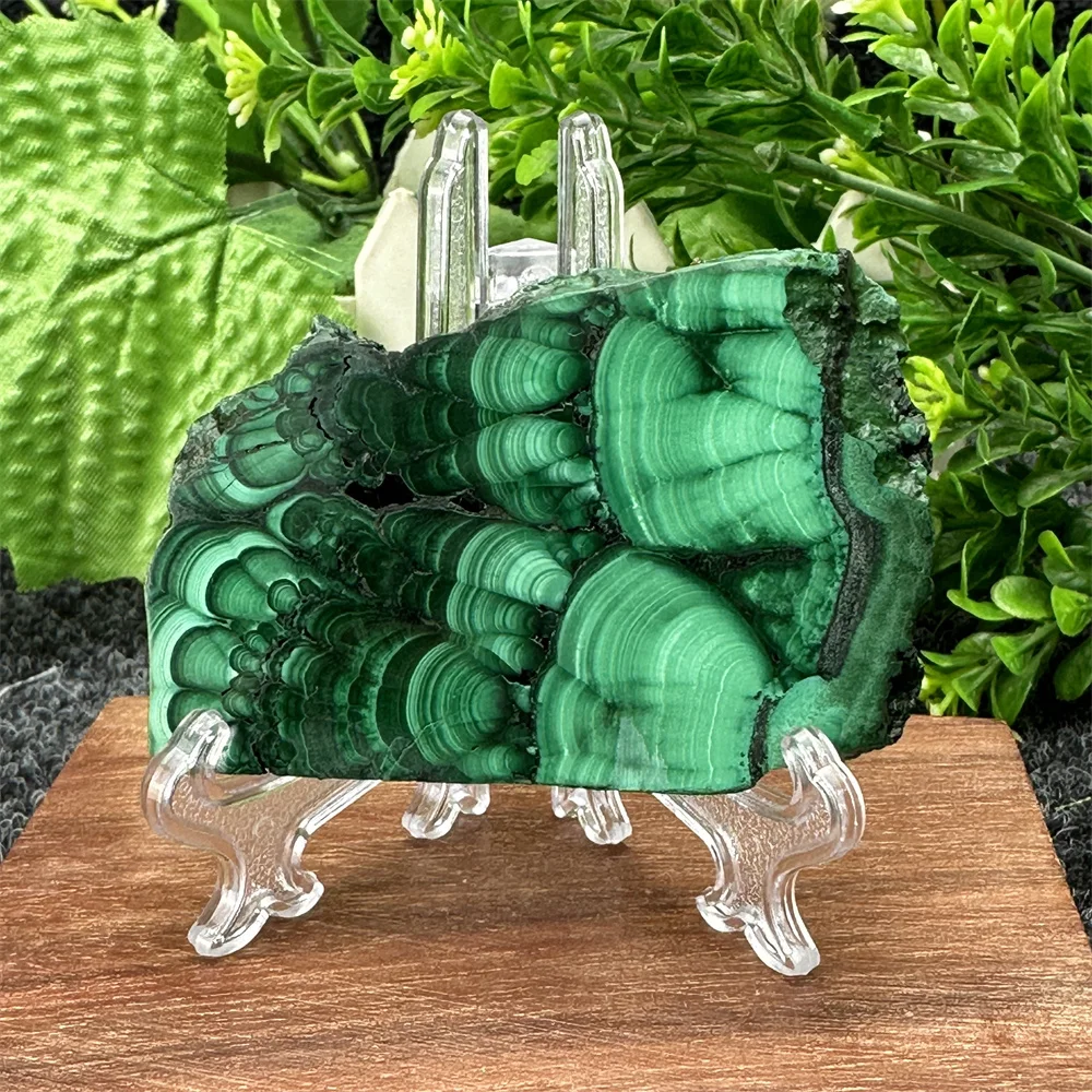 Natural Malachite Crystal Rough Slices Polished Healing Gem Slate Home Decor Meditation Chakra