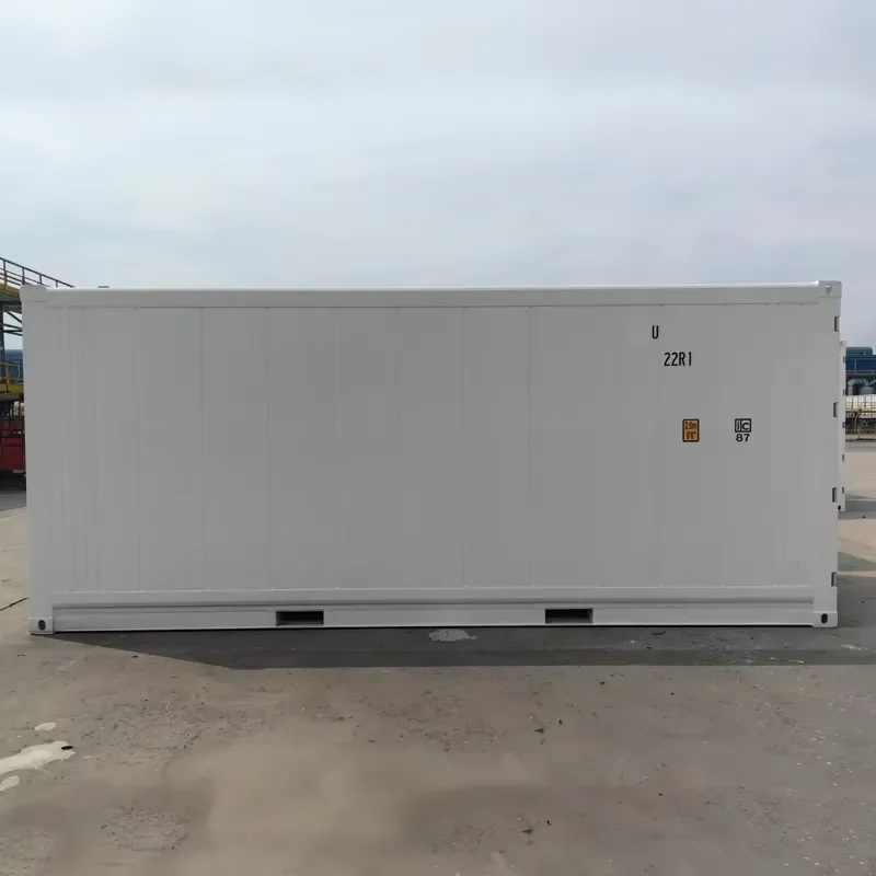 Poultry Beef Meat Hanging Rail 20ft CIMIC Reefer Container -40C-35C T Floor Steel Cold Storage