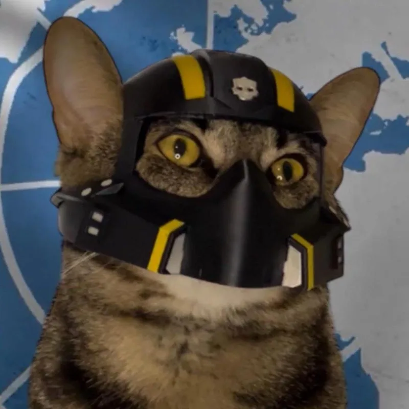 1 Uds. Máscara de casco de gato PLA impresa en 3D para Cosplay divertido juego de rol correa de sombrero regalo único para mascotas