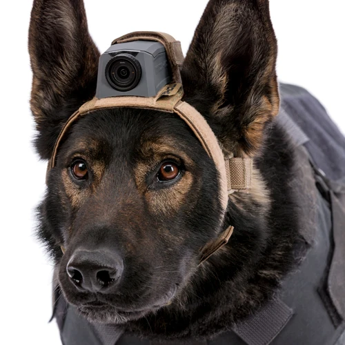 American Mohoc K9 Mount Police Dog Action Camera Stand Action Camera Stand