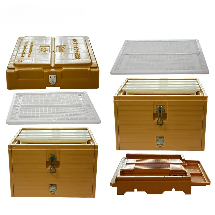 

Beekeeping Equipment Plastic Bee Hives Langstroth Plastic Beehive For Apis Mellifera