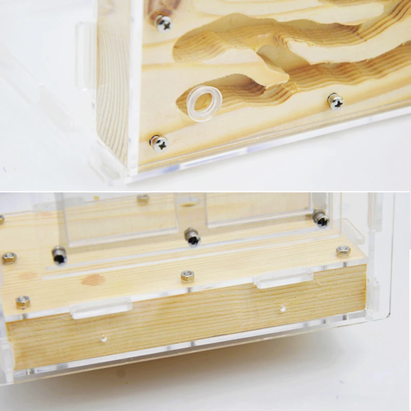 DIY Ecological Acrylic Wood Ant Farm Ant Nest with Feeding Area Insect Ant House for Pet Anthill Workshop 15*14*10cm