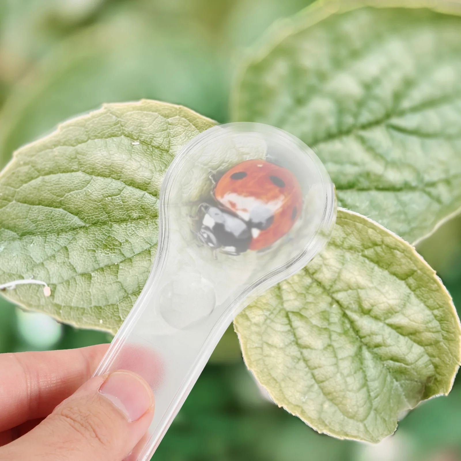 

Handheld Magnifying Glass Reader School Supplies Accessory Acrylic Mini