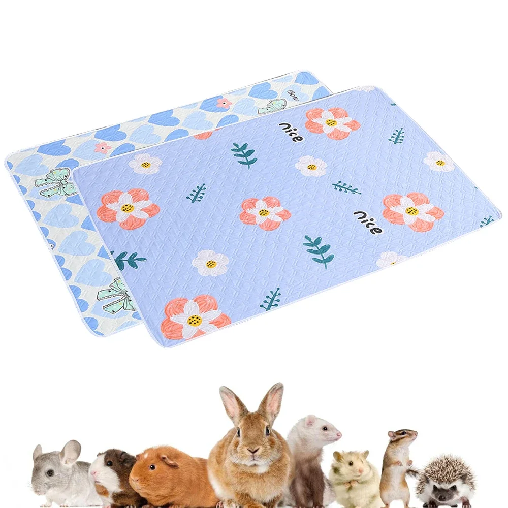 #21 Trending Hamster Cages Right Now