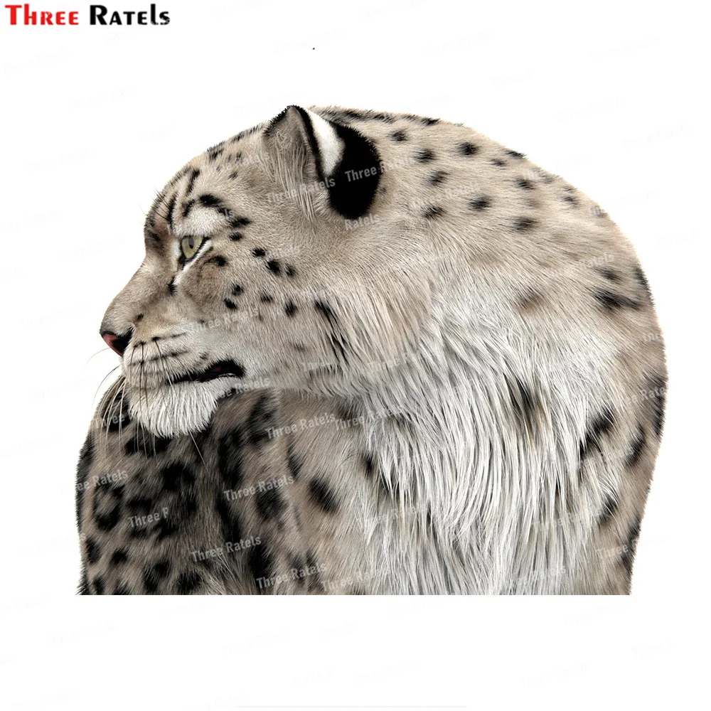 Three Ratels K590 Snow Leopard 3d Model Car Sticker Personalized Sunscreen Decal Laptop Motorcycle Auto Accessories