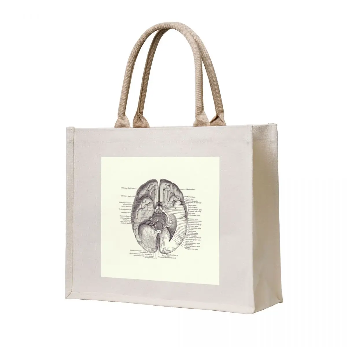 

Brain Nervous System Diagram - Vintage Anatomy 2 Tote Bag tote bag canvas eco pack Women bags