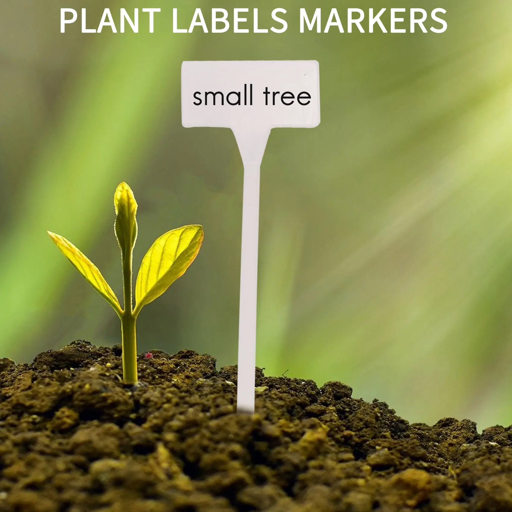 40Pcs Outdoor Plant Label,Waterproof Plastic Plant T-Type Tags, Durable Nursery Garden Markers,Perfect For Herbs,Flowers-[A22I S