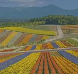 2Din Car Radio For … - image