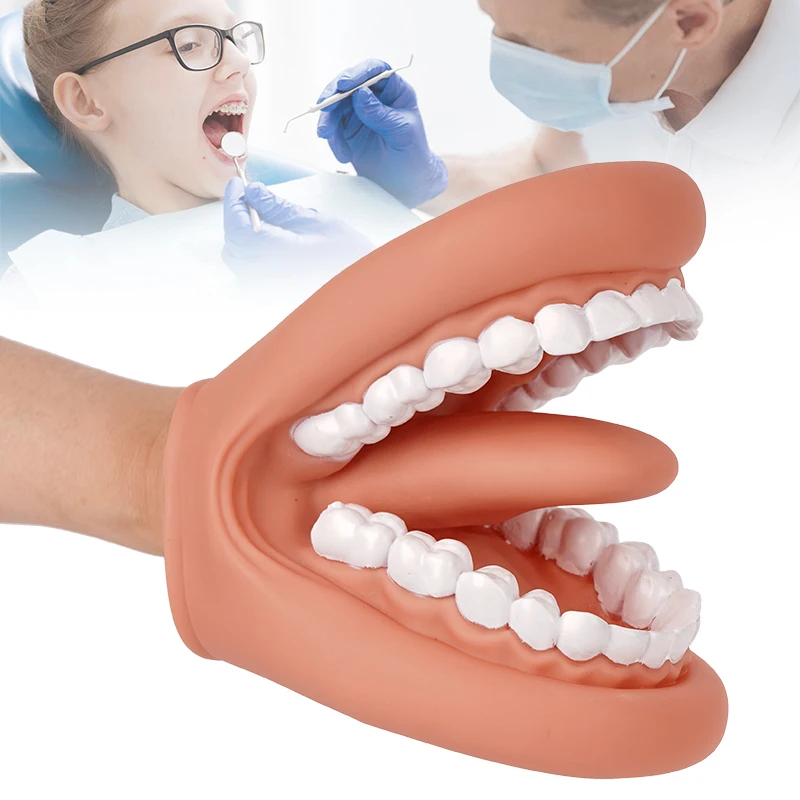 1pc Silicone Glove Style Dental Models for Oral and Dental Care, Dental Teaching Molds, and Practice Dental Teaching Tools