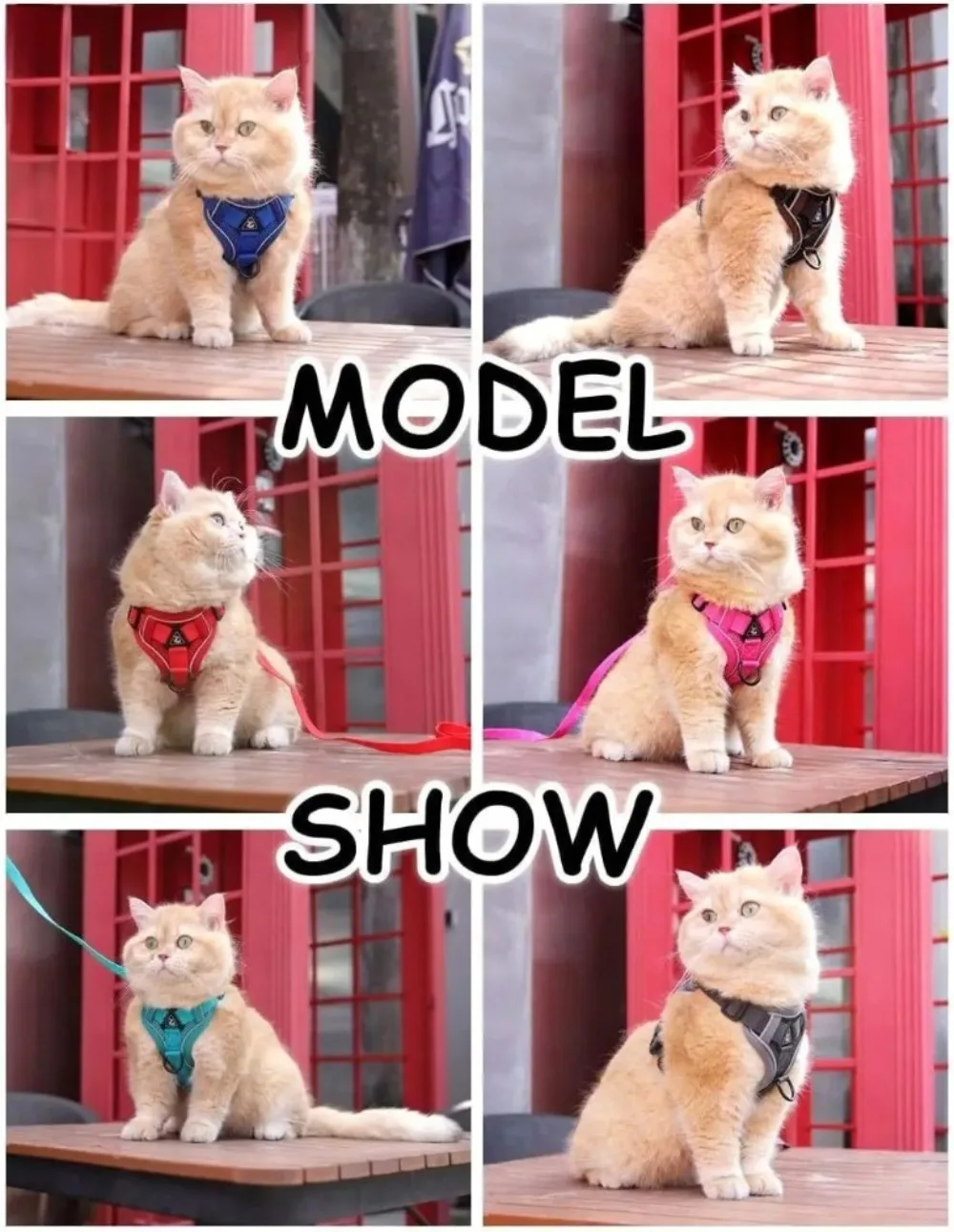 Reflective Cat Harness And Leash Set Adjustable Vest For Cats_voghion.com