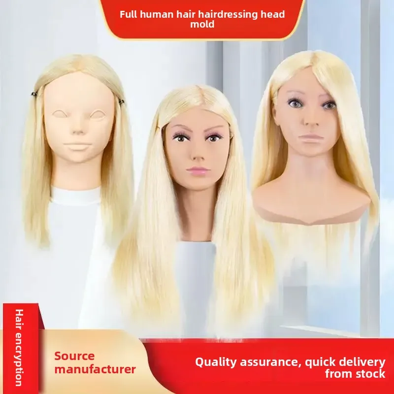 for Hairdressing Head Mold Full Real Hair Apprentice Practice Fake Head Barber Shop Hair Cutting Head Mold Can Be Permed Dyed