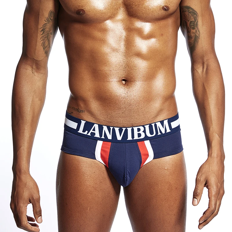 Men Transparent Briefs Cotton Boys Underwear Calzoncillos Ropa Interior Sexy De Hombre трусы мужские плавки