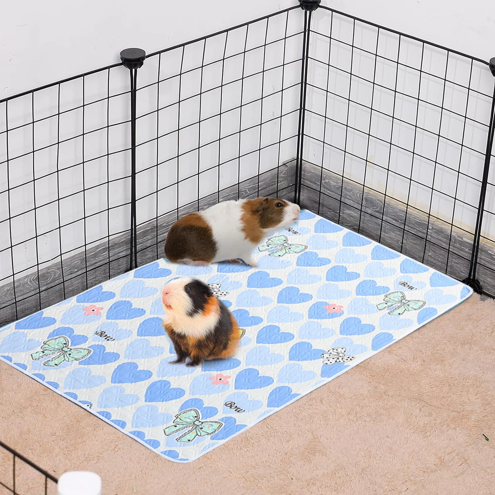 Thumbnail 2 - #21 Trending Hamster Cages Right Now