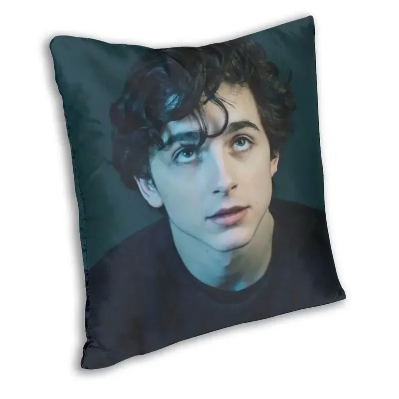 Timothee Chalamet 90s TV Actor Cushion Cover 45x45 Home Decor 3D Print Throw Pillow Case for Sofa Double-sided