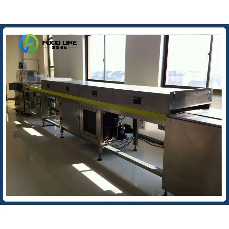 高出力能力、ホットセール、ビスケットをチョコレートで覆う自動機械、カスタマイズ可能な複数モデル